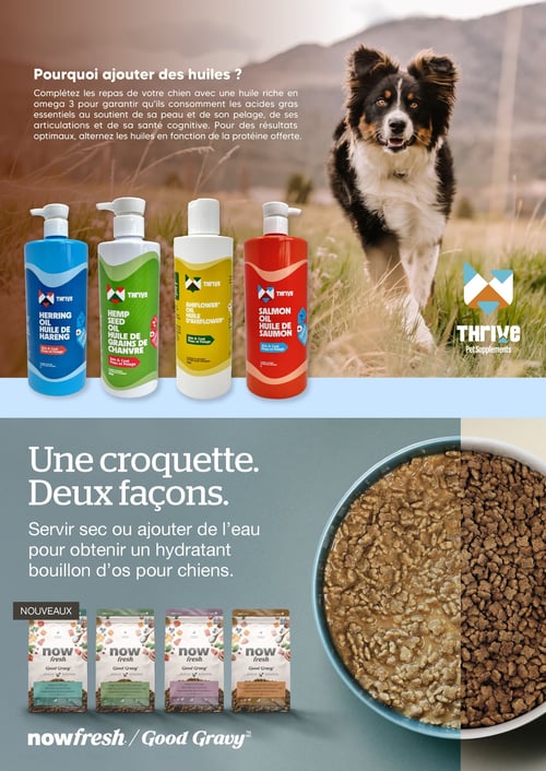 Circulaire Chico Boutique d'Animaux - Page 5
