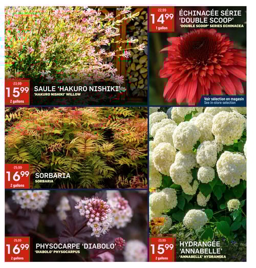 Circulaire Passion Jardins - Page 3