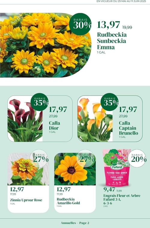 Circulaire Faucher - Plantes et Pavés - Page 2