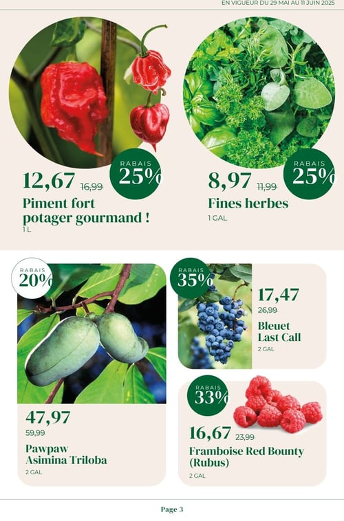 Circulaire Faucher - Plantes et Pavés - Page 3