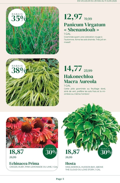 Circulaire Faucher - Plantes et Pavés - Page 5