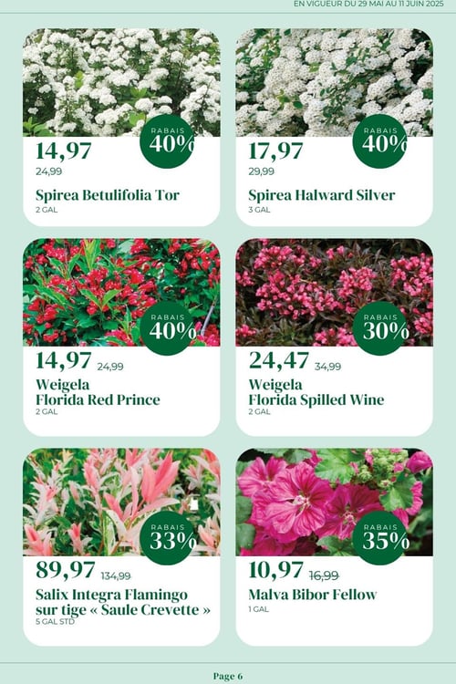 Circulaire Faucher - Plantes et Pavés - Page 6