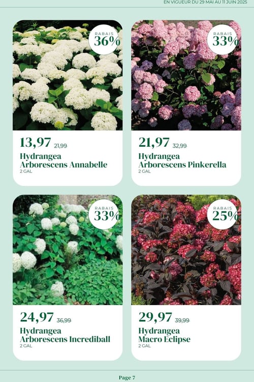 Circulaire Faucher - Plantes et Pavés - Page 7