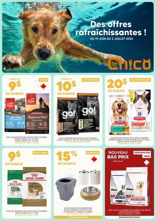 Circulaire Chico Boutique d'Animaux - Page 1