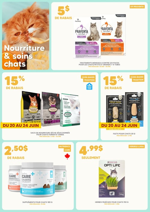 Circulaire Chico Boutique d'Animaux - Page 3