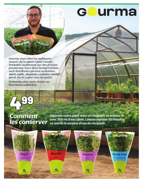 Circulaire Metro - Fraises du Québec - Page 7
