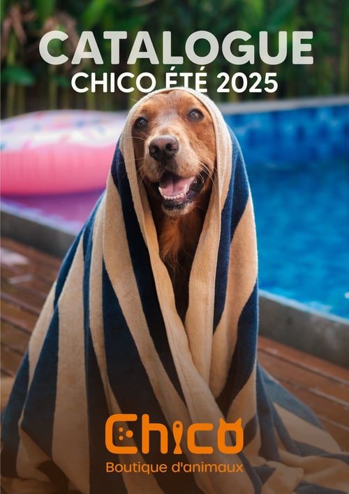 Circulaire Chico Boutique d'Animaux - Catalogue Chico Été - Page 1