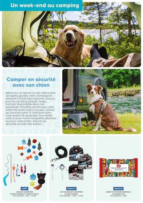 Circulaire Chico Boutique d'Animaux - Catalogue Chico Été - Page 6