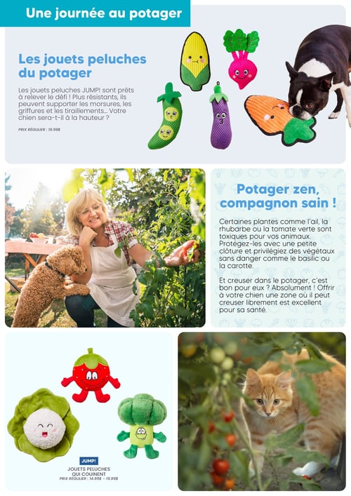Circulaire Chico Boutique d'Animaux - Catalogue Chico Été - Page 8