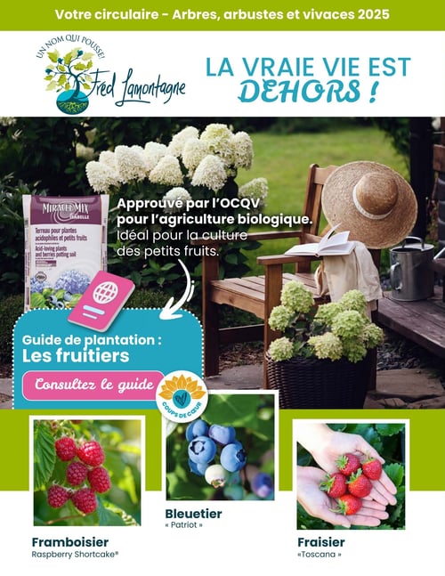 Circulaire Fred Lamontagne - Page 1