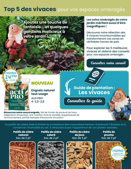 Circulaire Fred Lamontagne - Page 2