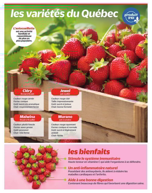 Circulaire Metro - Nos fraises du Québec - Page 5