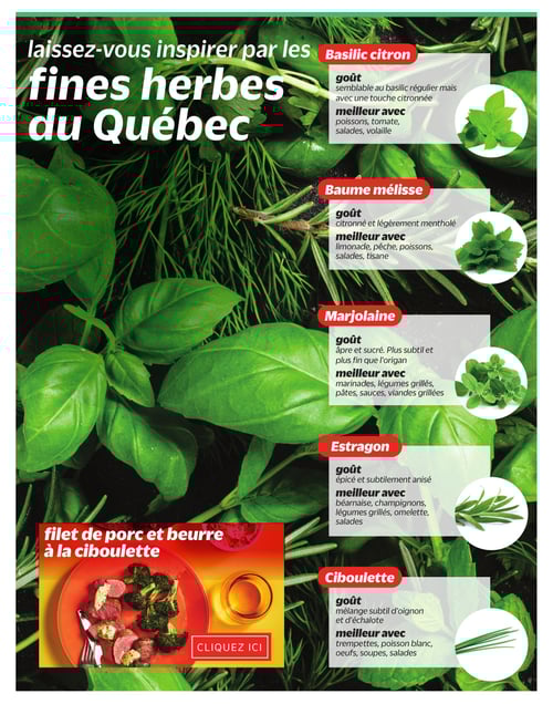 Circulaire Metro - Nos fraises du Québec - Page 6