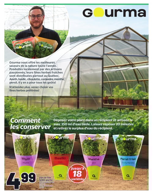 Circulaire Metro - Nos fraises du Québec - Page 7