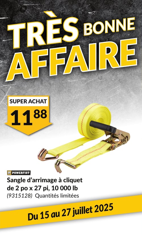 Circulaire Princess Auto - Page 4