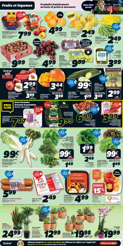 Circulaire IGA - Page 3