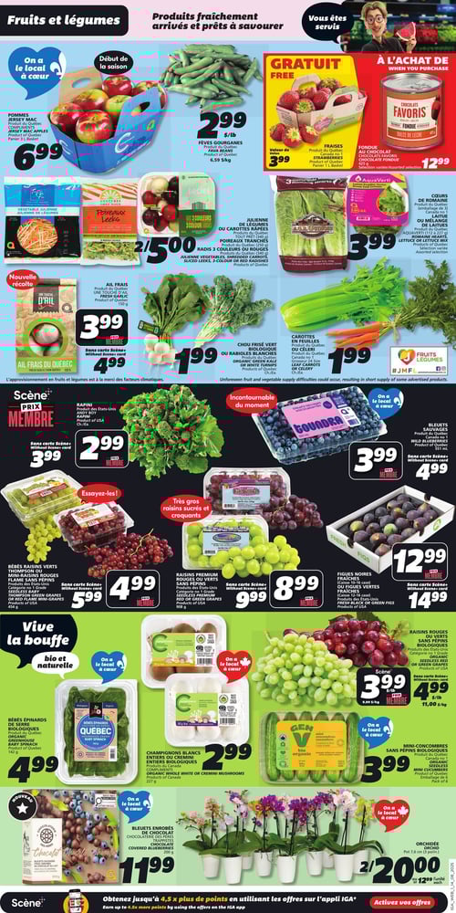 Circulaire IGA - Page 3