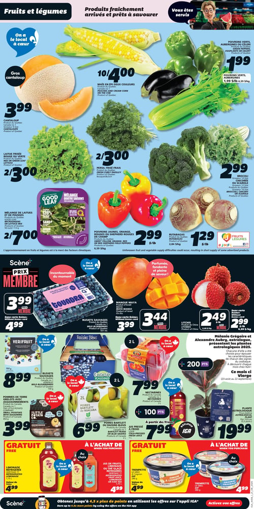 Circulaire IGA - Page 3