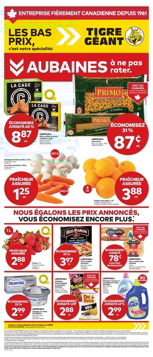 Circulaire Tigre Géant - Page 1