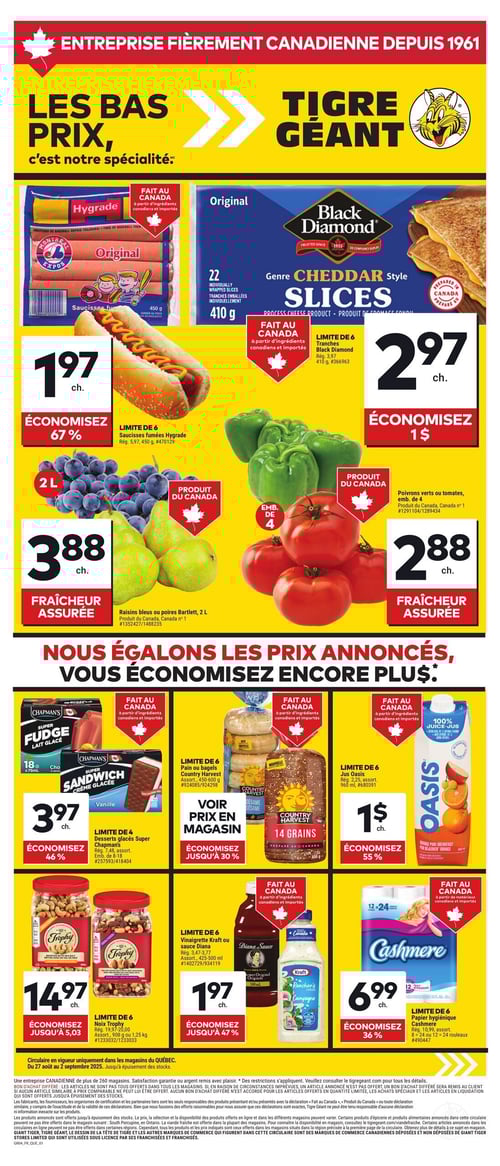 Circulaire Tigre Géant - Page 1