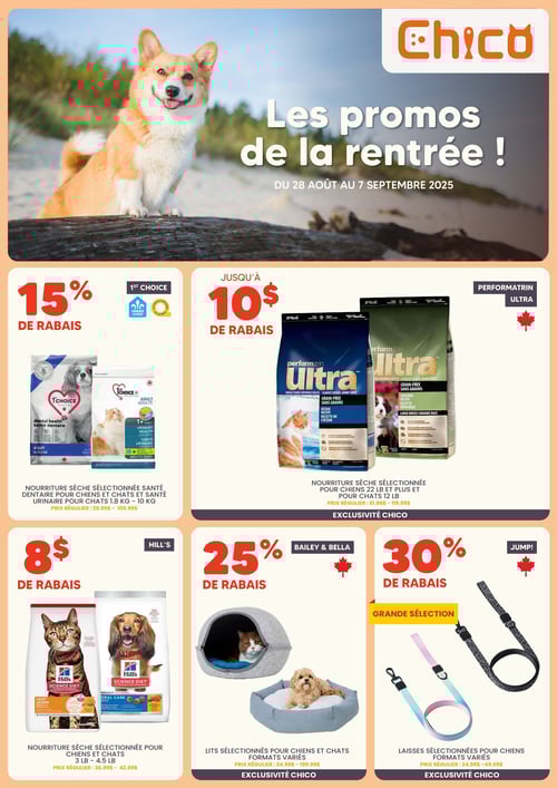 Circulaire Chico Boutique d'Animaux - Page 1
