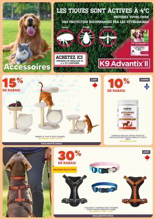 Circulaire Chico Boutique d'Animaux - Page 4