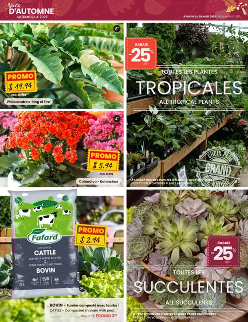 Circulaire Centre de Jardin Brossard - Page 4