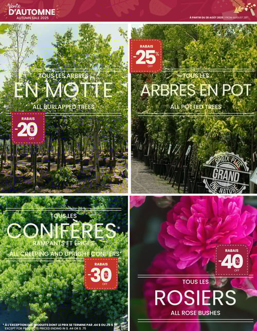 Circulaire Centre de Jardin Floréal - Page 2