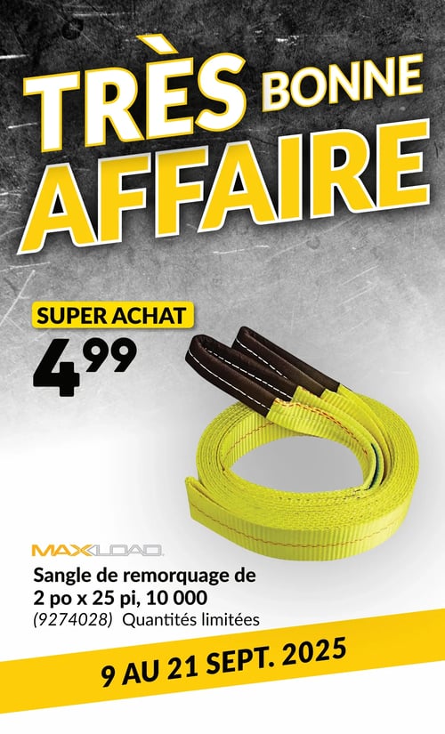 Circulaire Princess Auto - Page 20