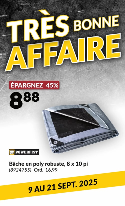 Circulaire Princess Auto - Page 47