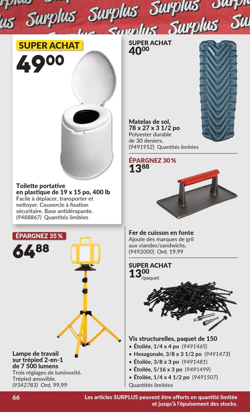 Circulaire Princess Auto - Page 83