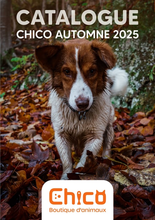 Circulaire Chico Boutique d'Animaux - Page 1