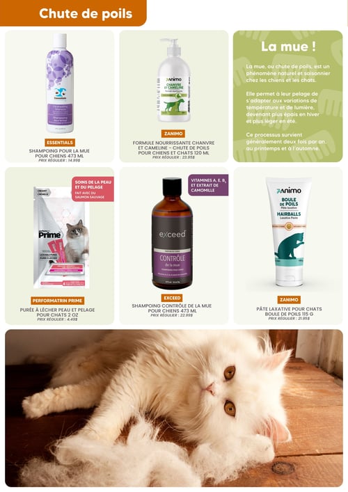Circulaire Chico Boutique d'Animaux - Page 3