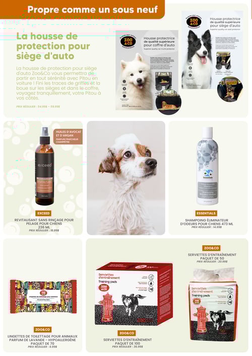 Circulaire Chico Boutique d'Animaux - Page 4