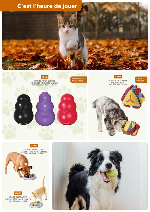 Circulaire Chico Boutique d'Animaux - Page 5