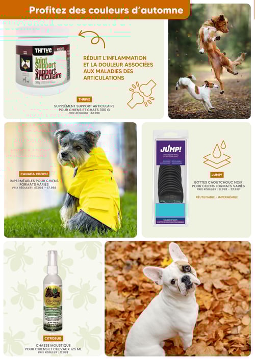 Circulaire Chico Boutique d'Animaux - Page 6