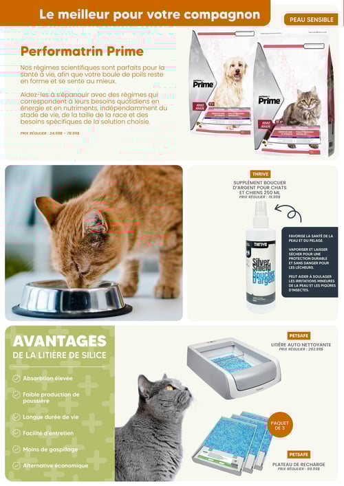 Circulaire Chico Boutique d'Animaux - Page 7