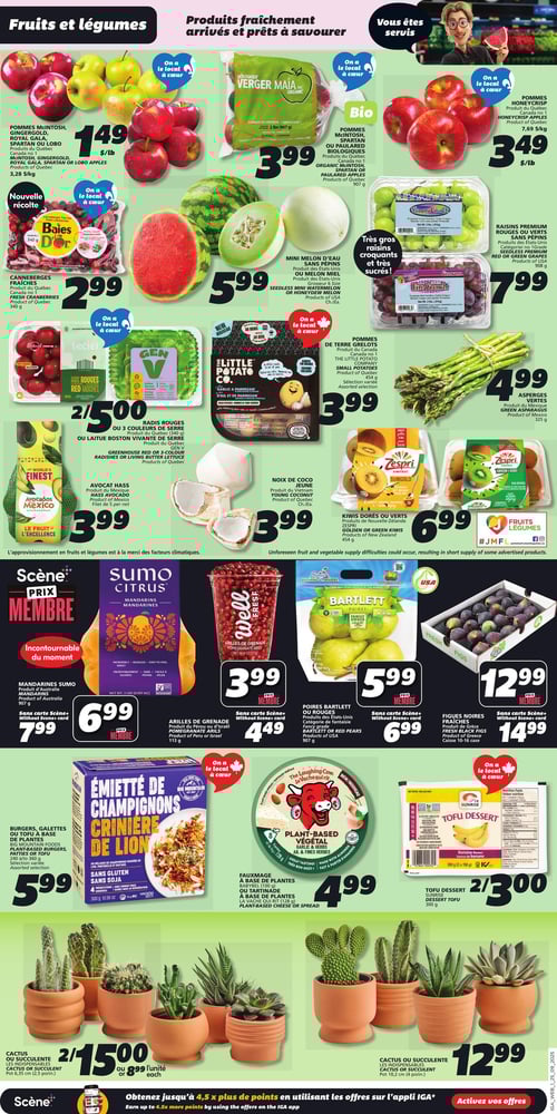 Circulaire IGA - Page 3