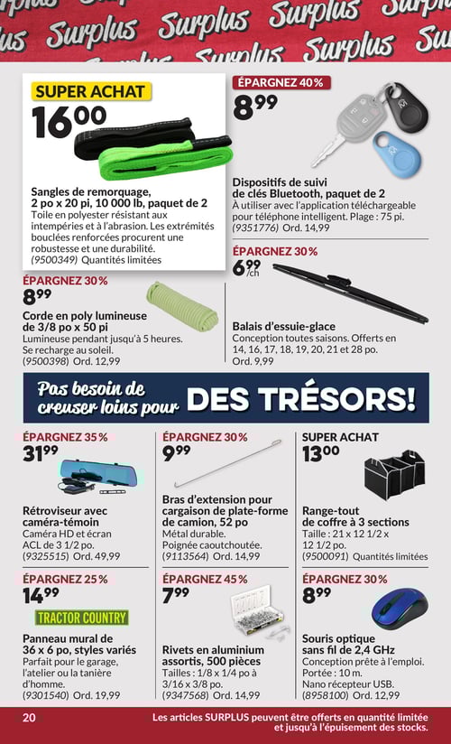 Circulaire Princess Auto - Page 39