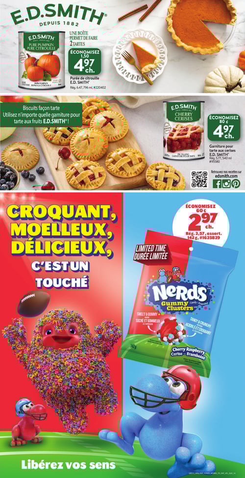 Circulaire Tigre Géant - Page 16