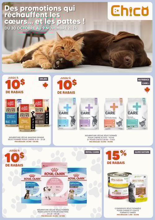 Circulaire Chico Boutique d'Animaux - Page 1