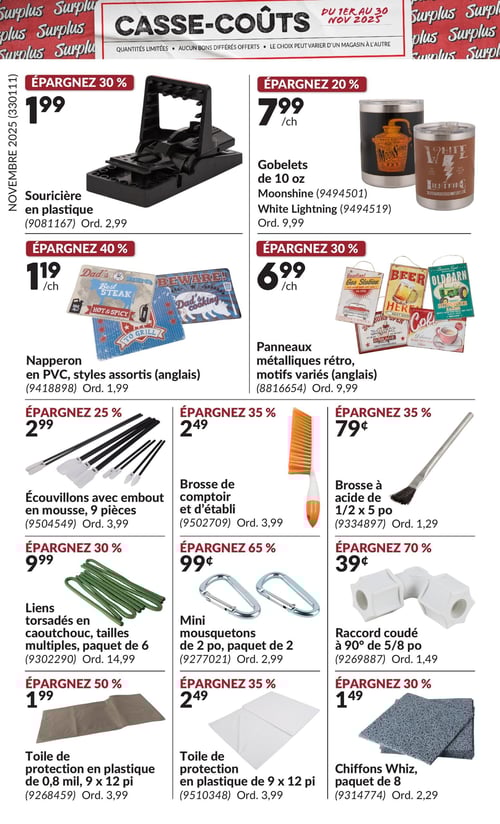 Circulaire Princess Auto - Casse-Coûts - Page 10