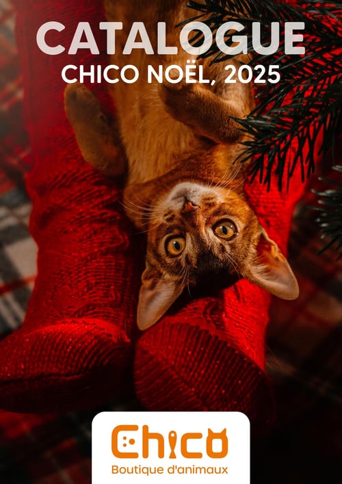 Circulaire Chico Boutique d'Animaux - Noël 2025 - Page 1