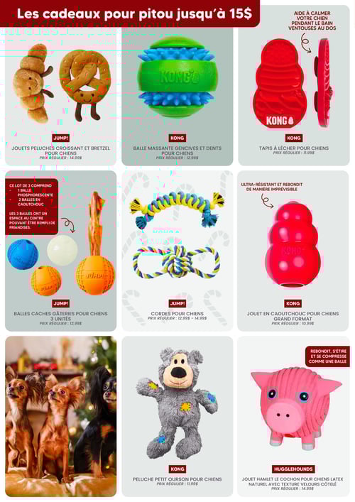 Circulaire Chico Boutique d'Animaux - Noël 2025 - Page 3