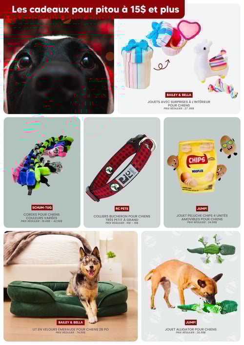 Circulaire Chico Boutique d'Animaux - Noël 2025 - Page 4