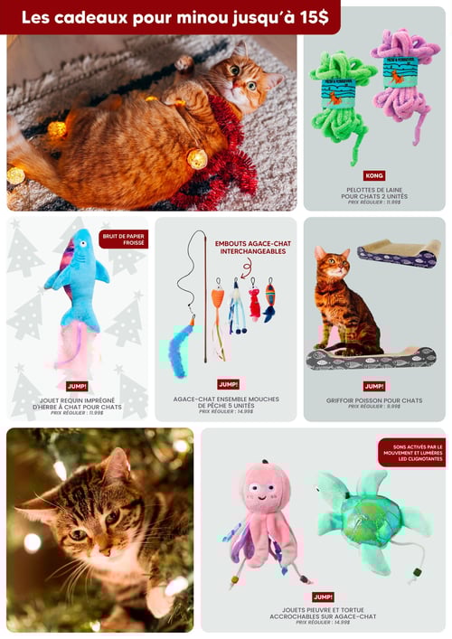 Circulaire Chico Boutique d'Animaux - Noël 2025 - Page 6