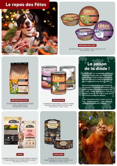 Circulaire Chico Boutique d'Animaux - Noël 2025 - Page 8