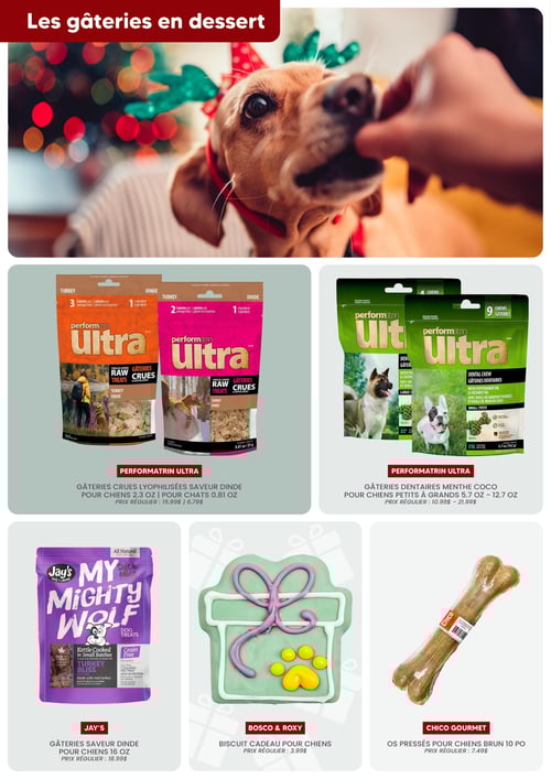 Circulaire Chico Boutique d'Animaux - Noël 2025 - Page 9