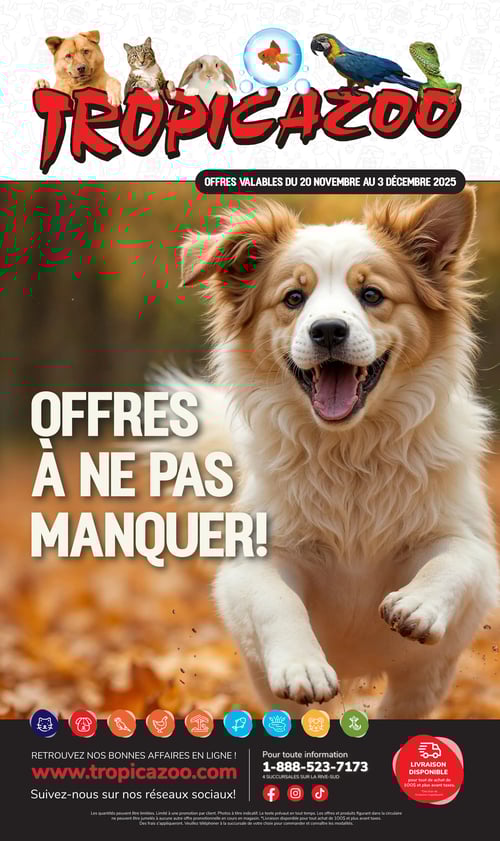 Circulaire Tropicazoo - Page 1