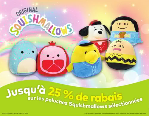 Circulaire Tigre Géant - Page 13